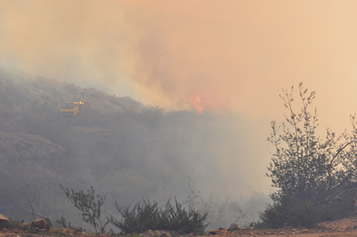 Fire in the fynbos